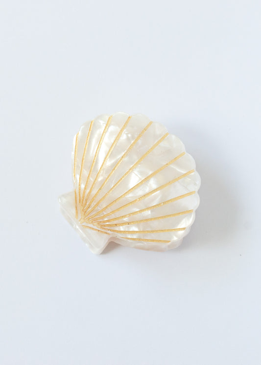 Caspian Shell Claw